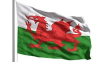 Quarter of practices link to Welsh SCR