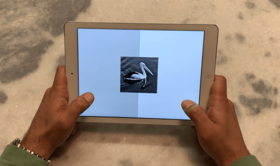 A person using Cognetivity's iPad test