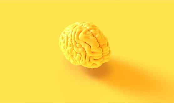 A bright glowing brain