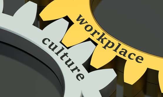 Workplace Culture image