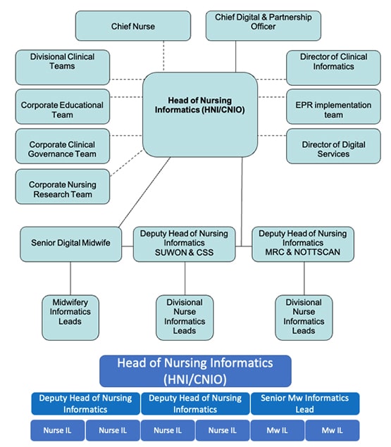 Nursing Informatics Chart